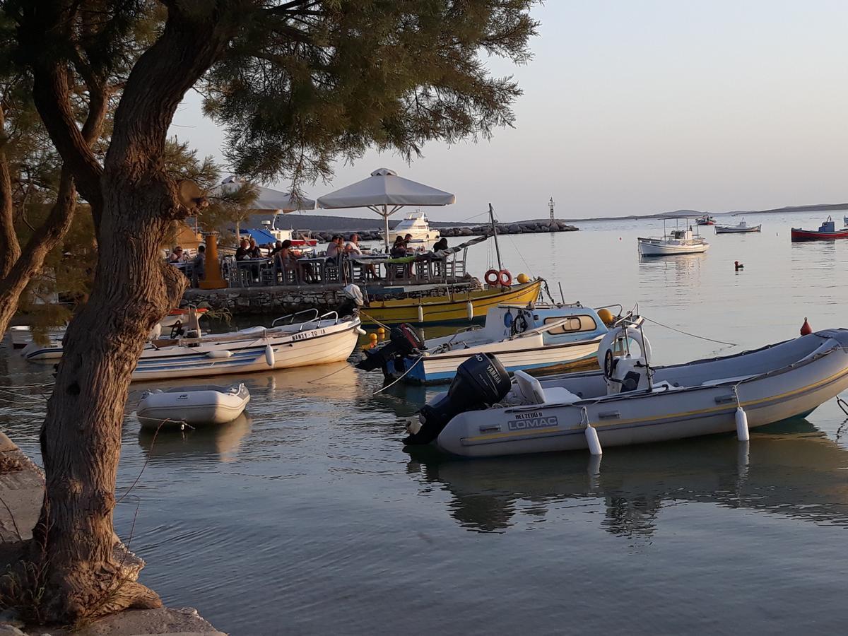 Holidays In Paros * Alikí