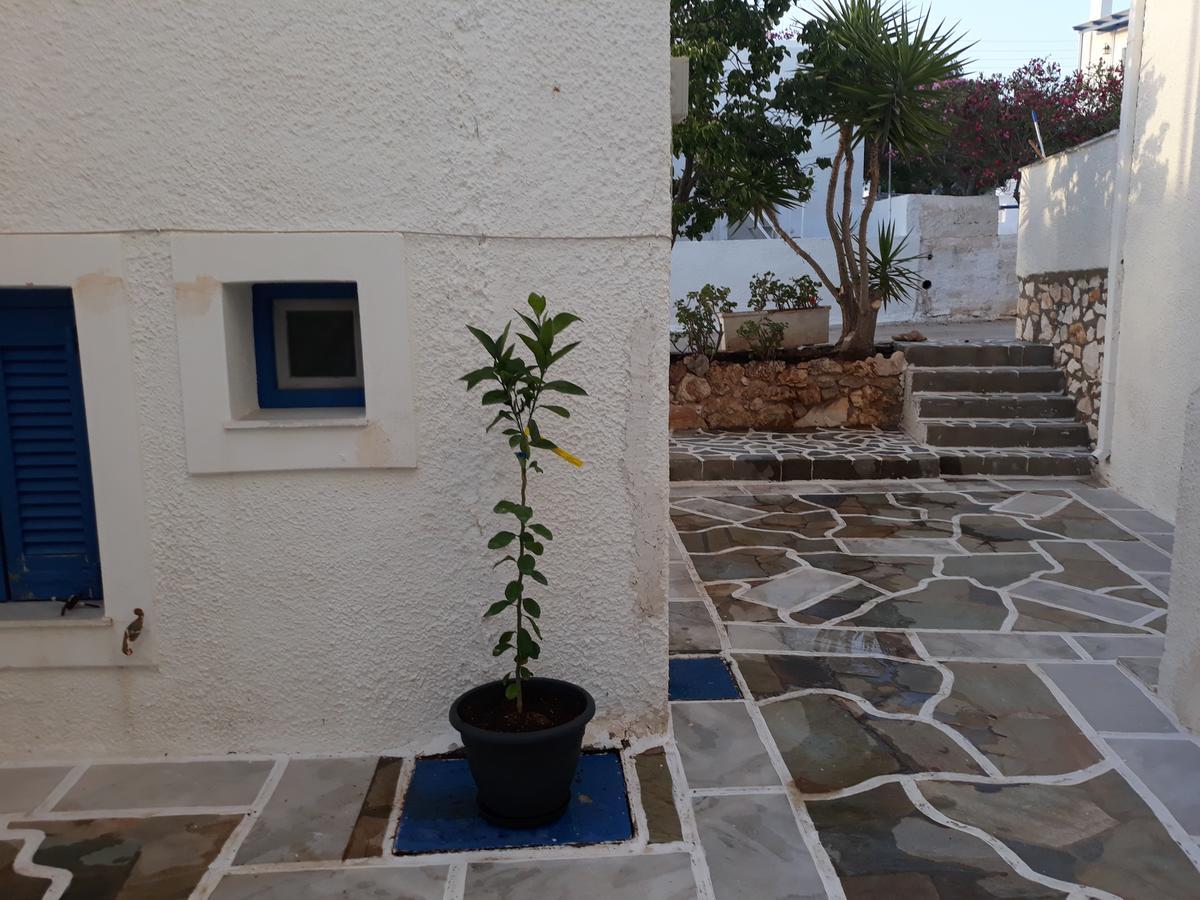 Holidays In Paros Alikí