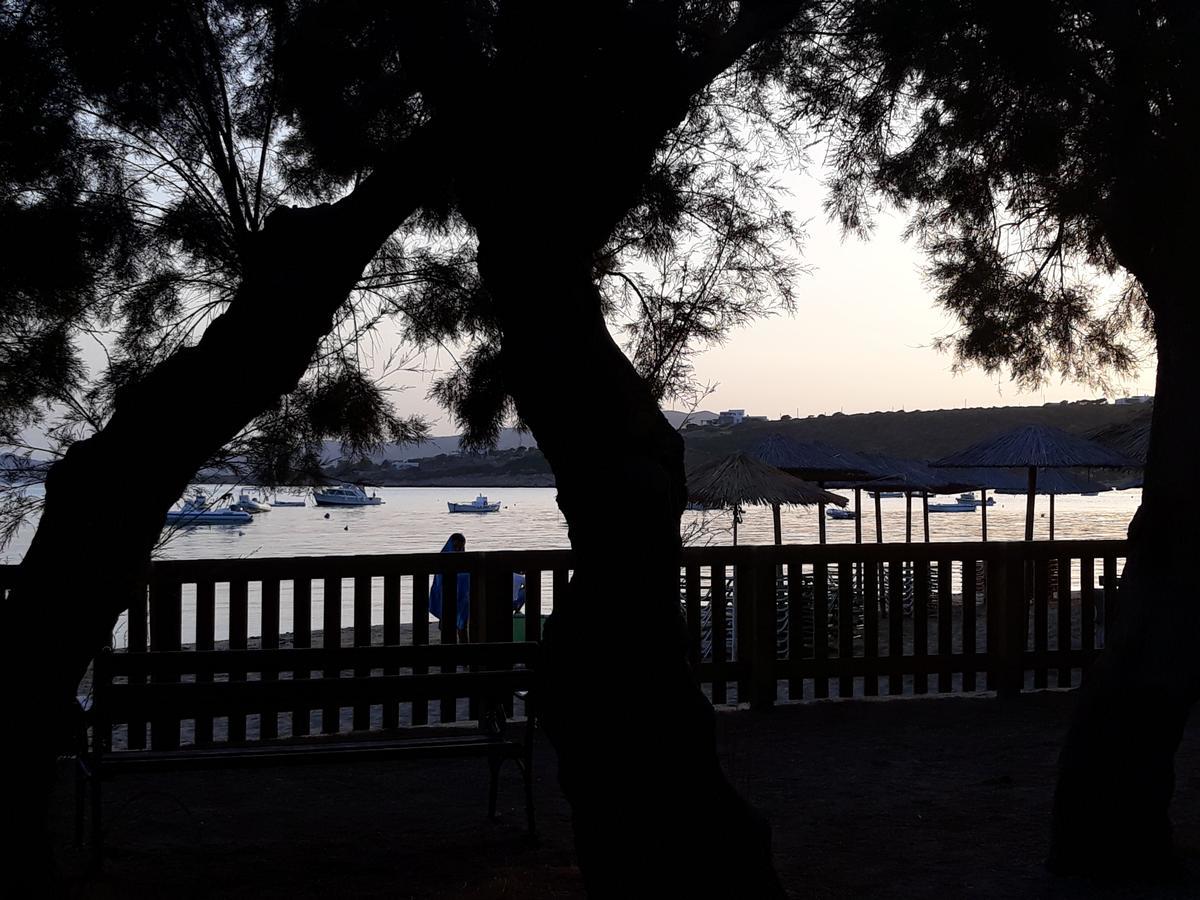 Holidays In Paros Alikí