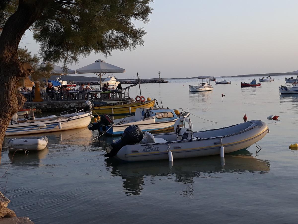 Holidays In Paros דירה *